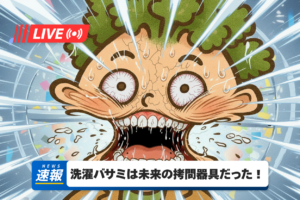 100均の「洗濯ネット」を使っている人は要注意。それ、法律スレスレの行為かもしれません｜靴下紛失レポートNo.2 アイキャッチ画像